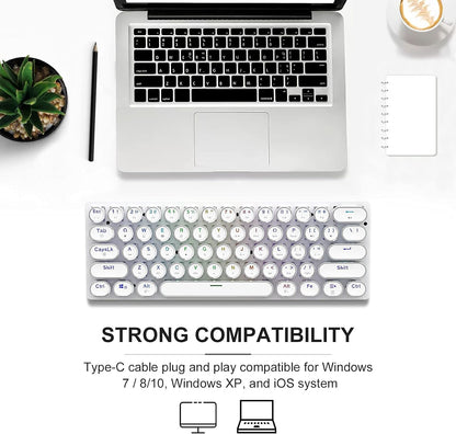 60% Mechanical Keyboard, Gaming Keyboard for PC, Wired Mini White Keyboaed Compact RGB LED Backlit, Retro Computer Keyboard Typewriter Style round Keycap for PC Gamer/Office, 61 Keys